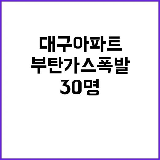 부탄가스 폭발 대구 아파트 대피자 30명 구조!