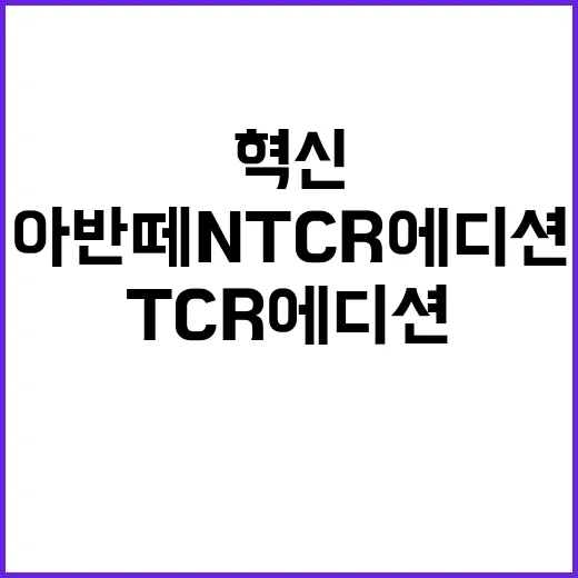 “아반떼 N TCR…