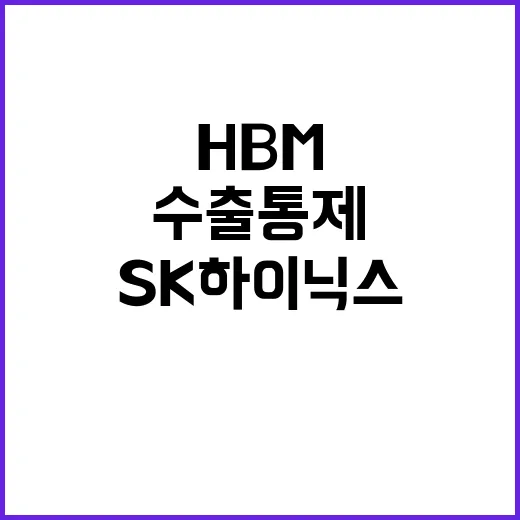 HBM 수출통제 삼성과 SK하이닉스가 직면한 위기!