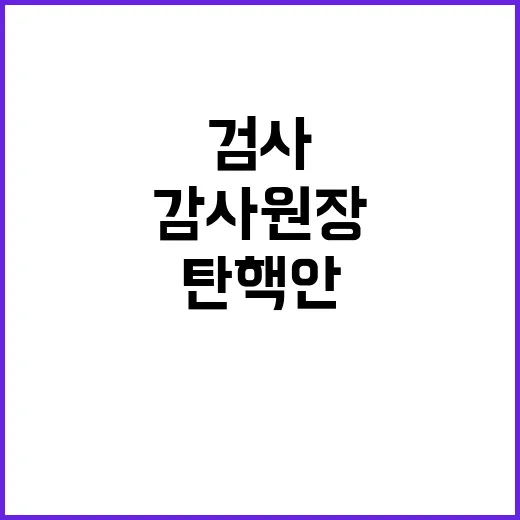 탄핵안 보고 감사원…