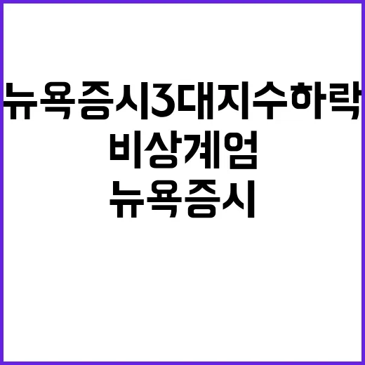 비상계엄 결정 뉴욕…