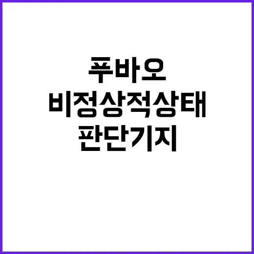 푸바오 비정상적 상…