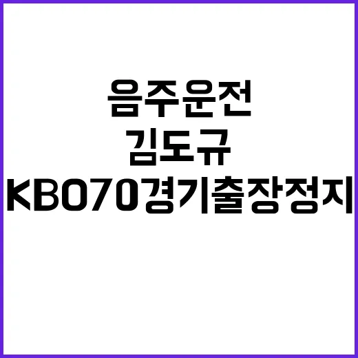 김도규 음주운전 KBO 70경기 출장 정지 발표!