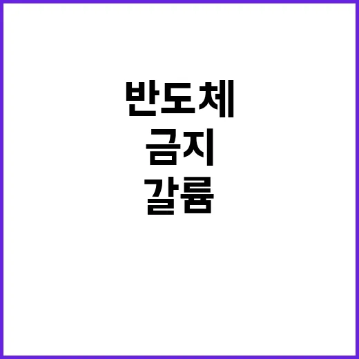 갈륨 금지 반도체 …