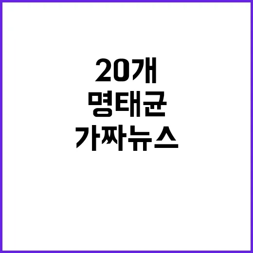 명태균 추경호 혐의 20개 vs 추경호 가짜뉴스 반박