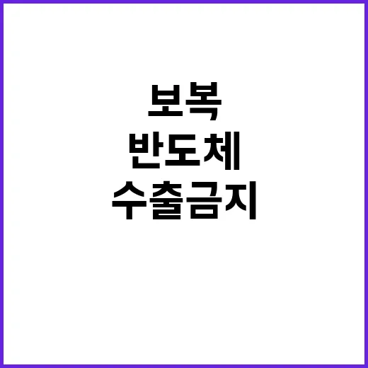 AI 반도체 수출금…