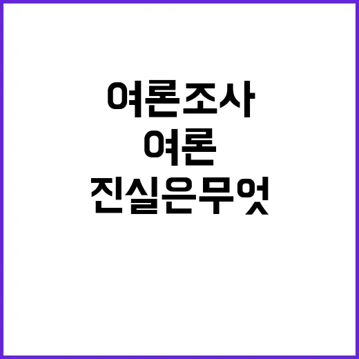 여론조사TF 추경호…