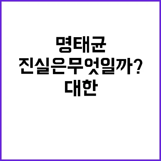 명태균 의혹 산더미…