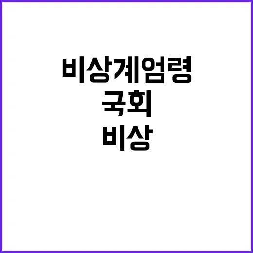 비상계엄령 경찰 혼…