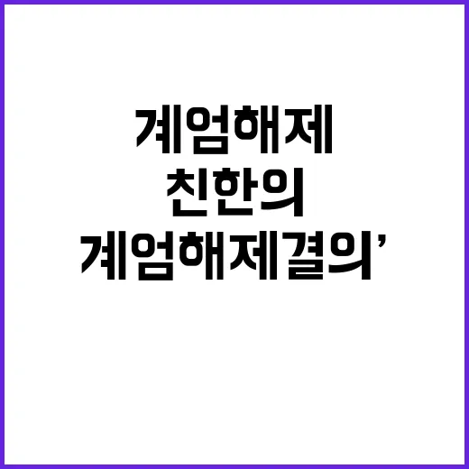 ‘계엄 해제 결의’ 찬성표 친한의 비판 이유!