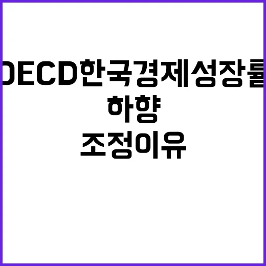 OECD 한국 경제…