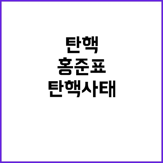 홍준표 거국내각 구…