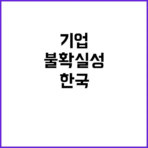 “기업 환경 불확실…