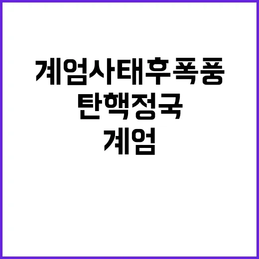 탄핵 정국 계엄사태 후폭풍이 몰아친다!