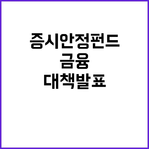 증시안정펀드 금융당…