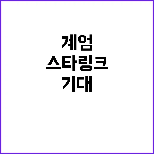 스타링크 계엄으로 통신망 불안 해결 기대!