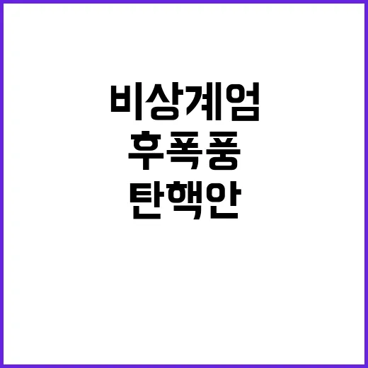 비상계엄 후폭풍…탄…