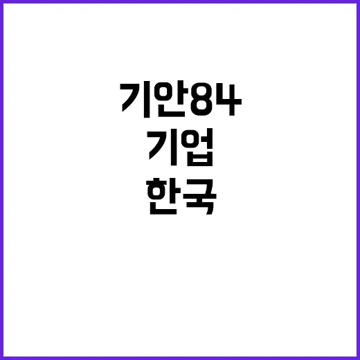 기안84 한국 기업…