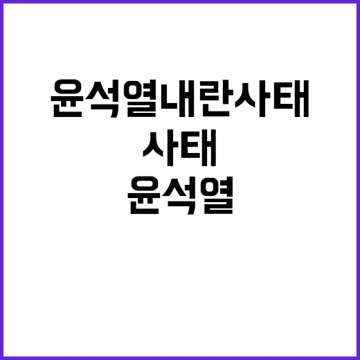 윤석열 내란사태 특…