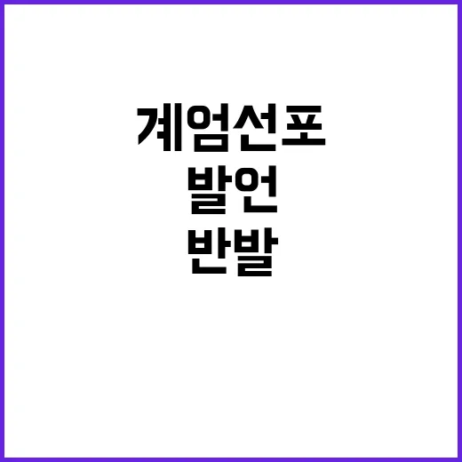 계엄 선포 발언 국…