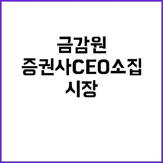 금감원 증권사 CE…