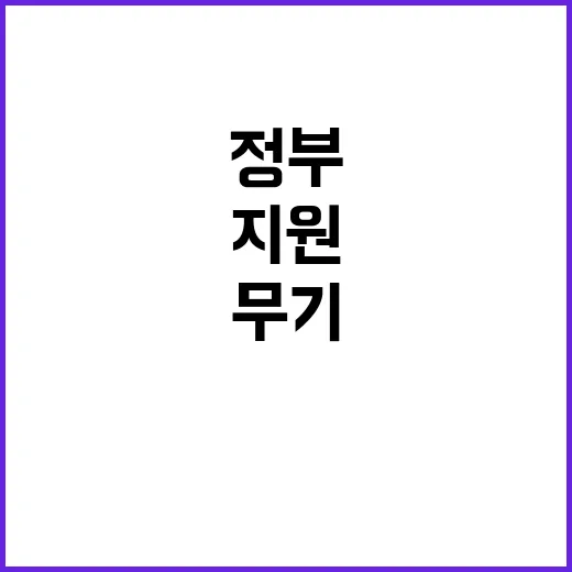 무기 지원 정부 재…