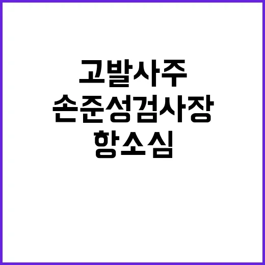 고발사주 손준성 검…