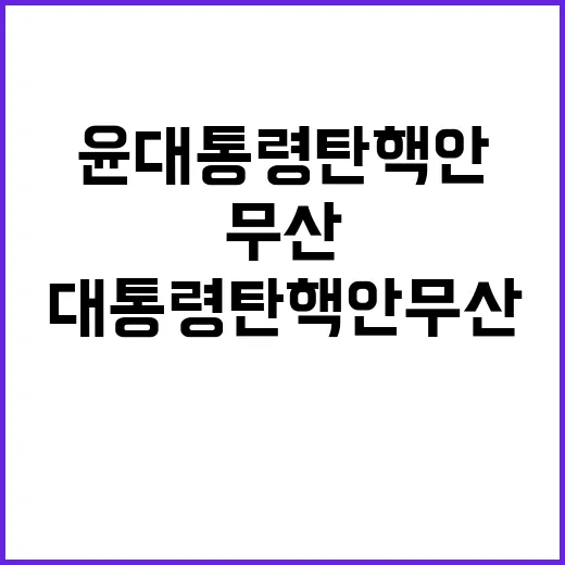 윤대통령 탄핵안 무…