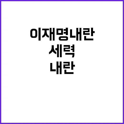 이재명 내란세력 옹…