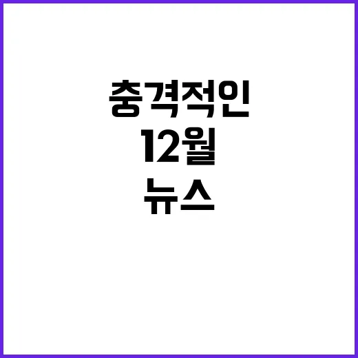 12월 8일 뉴스 충격적인 사건들로 가득하다!