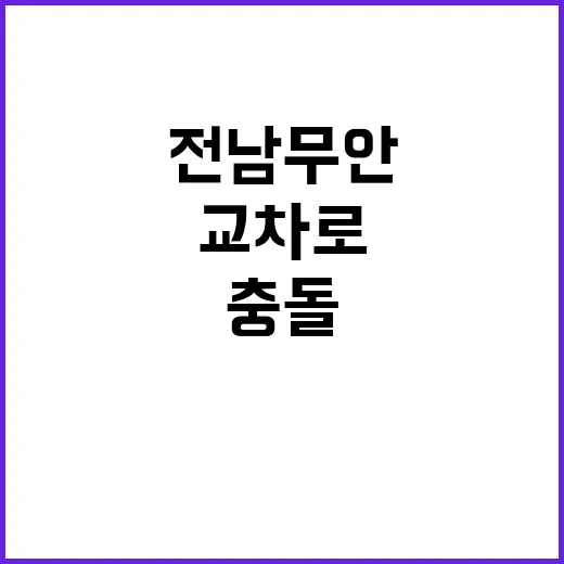 충돌 사고 전남 무…