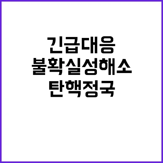 탄핵 정국 경제팀 불확실성 해소 위한 긴급 대응!