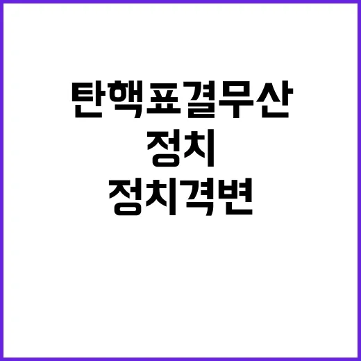 정치격변 미국 탄핵 표결 무산 헌법적 절차 필수!