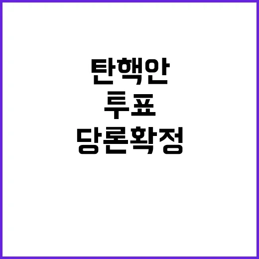 ‘탄핵안 투표’ 당…