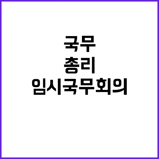 임시 국무회의 대통령·총리 간담회로 변경됐다!