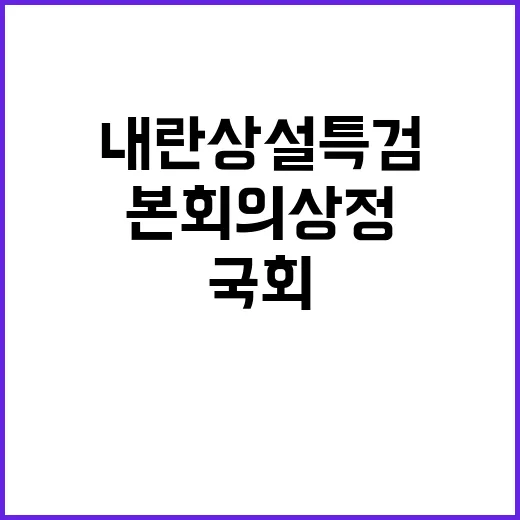 내란 상설특검 국회…