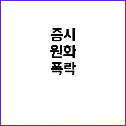 폭락 증시와 원화값…