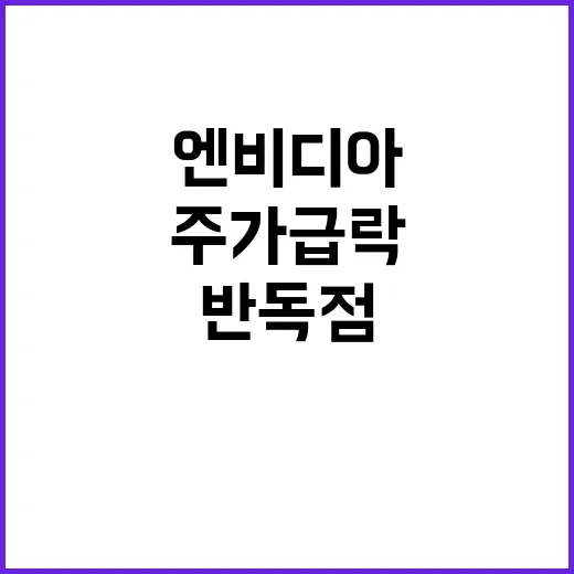 엔비디아 반독점 조…