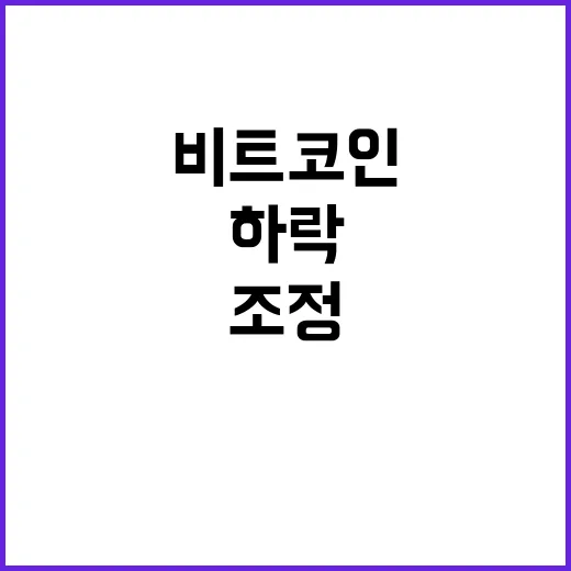 비트코인 조정 하락 이유와 투자 전략 공개!