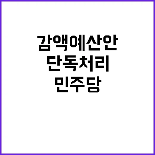 감액 예산안 민주당…