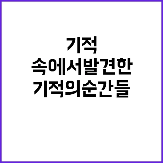 혼돈 속에서 발견한 기적의 순간들!