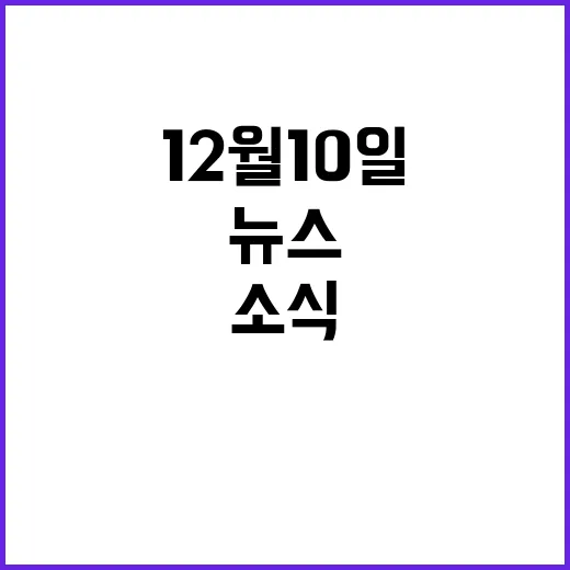 뉴스투나잇 12월 …