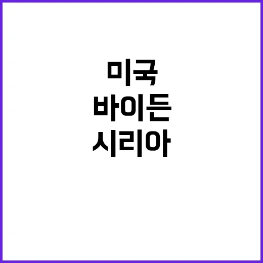 시리아 변수 미국 …