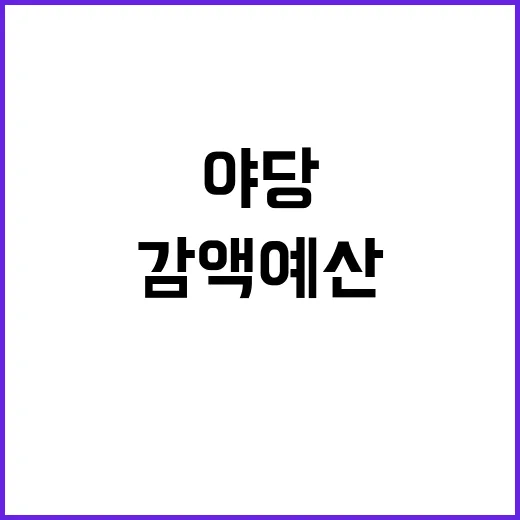 첫 단독 감액예산 …