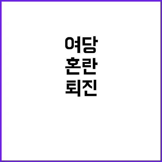 여당 퇴진 정치 혼…