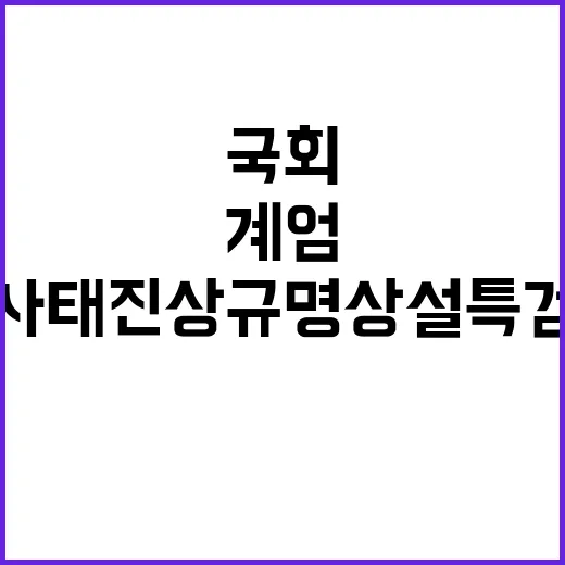 계엄사태 진상규명 …