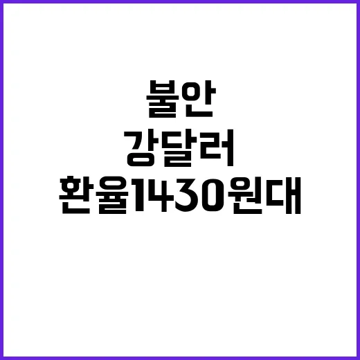 강달러 환율 1430원대 반등으로 불안 증대!