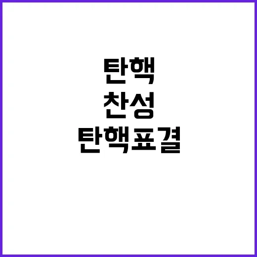 탄핵 표결 여당 2…