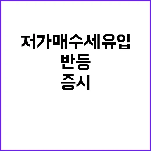 증시 반등 저가매수세 유입에 급락세 일단 멈춤!