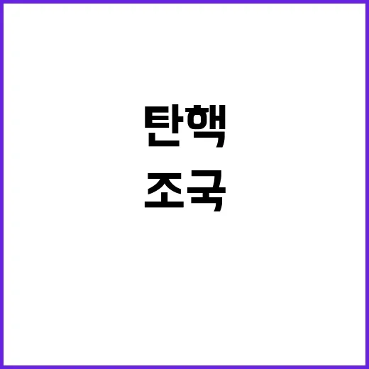 조국 선고 윤 탄핵…